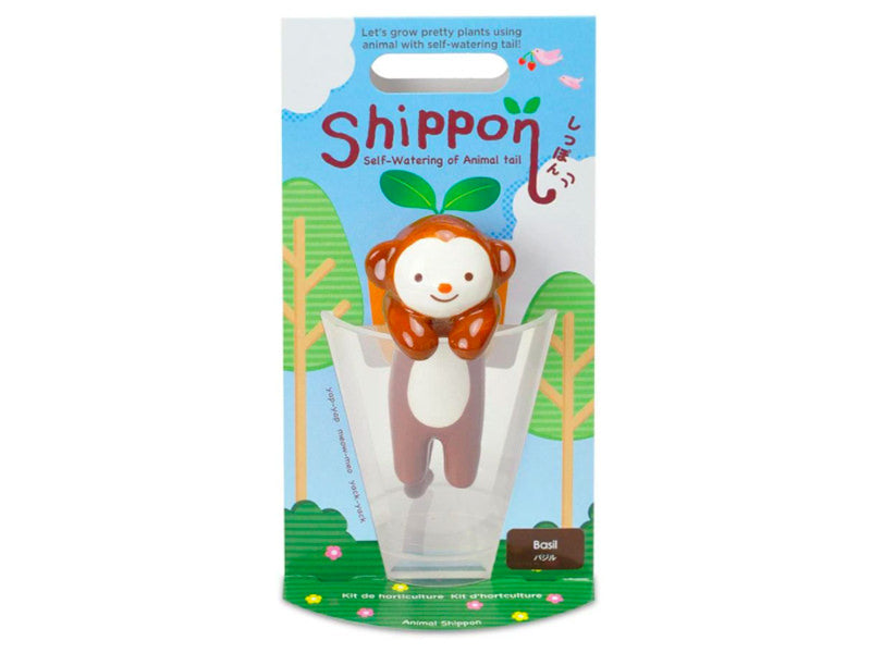 achat Kit pour faire pousser ta plante - singe dans un verre - basilic