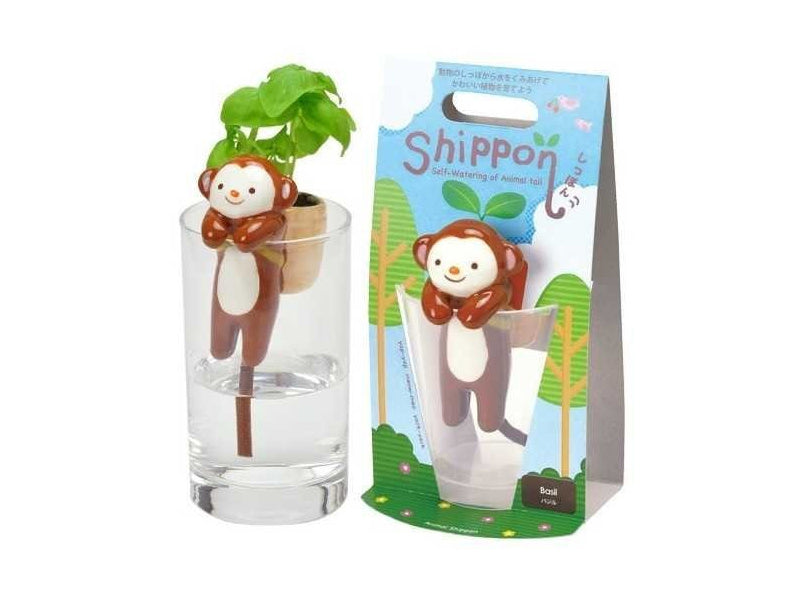 achat Kit pour faire pousser ta plante - singe dans un verre - basilic