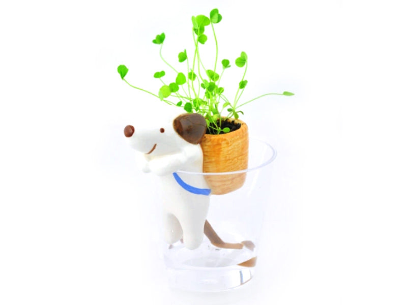 Achat Kit pour faire pousser ta plante - chien dans un verre - trèfle