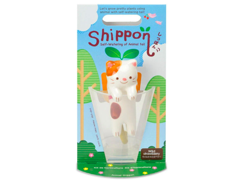 achat Kit pour faire pousser ta plante - chat dans un verre - fraise sauvage