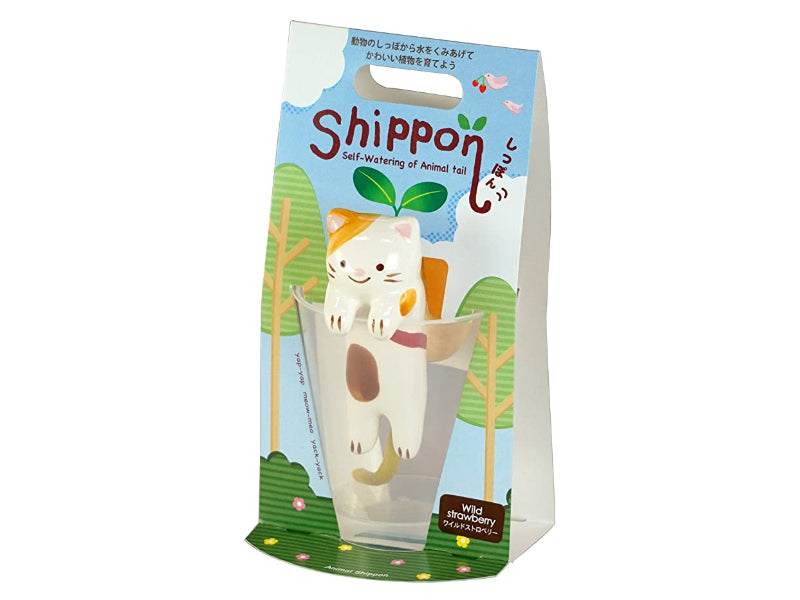 Achat Kit pour faire pousser ta plante - chat dans un verre - fraise sauvage