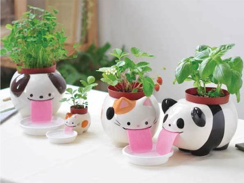 Achat Peropon - Panda - Basilic -  5,5 x 7 cm