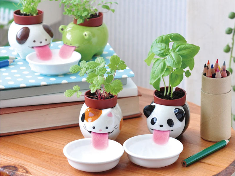 achat Peropon - Panda - Basilic -  5,5 x 7 cm