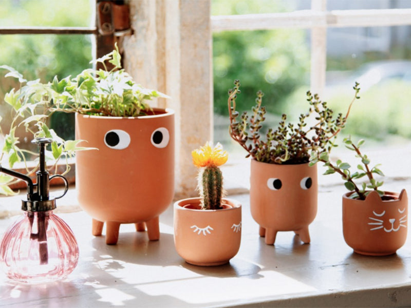 Achat Pot à plante Terracotta - Little Leggy