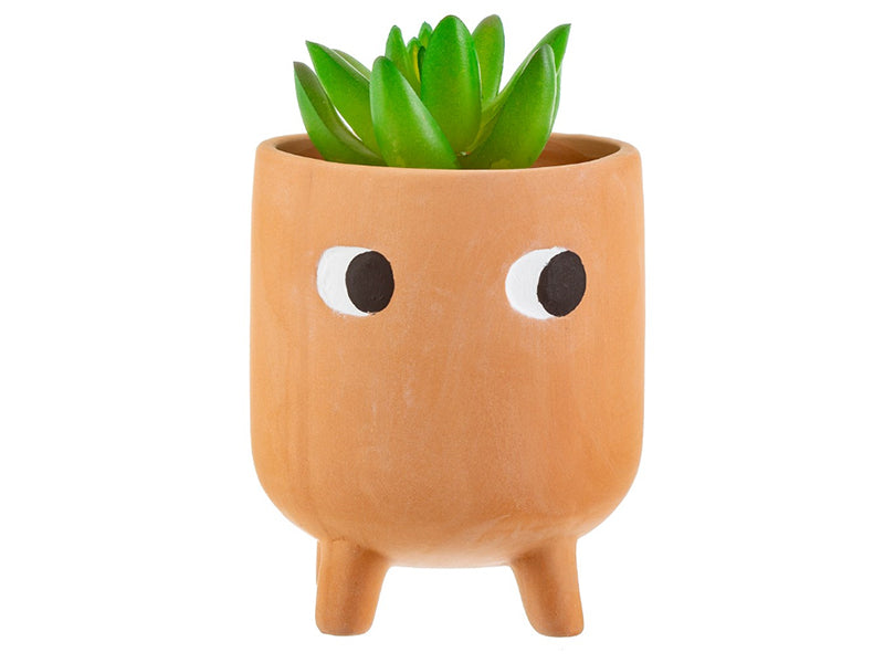achat Pot à plante Terracotta - Little Leggy