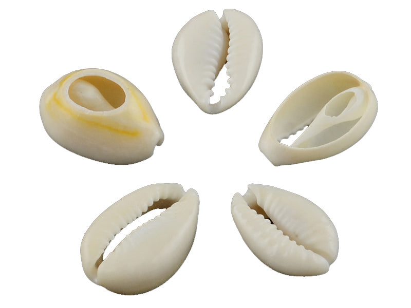 Achat 10 perles coquillage cauri mélangées naturelles - 5 mm