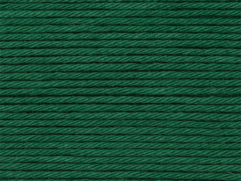 achat Pelote Ricorumi coton DK - Vert sapin (50)