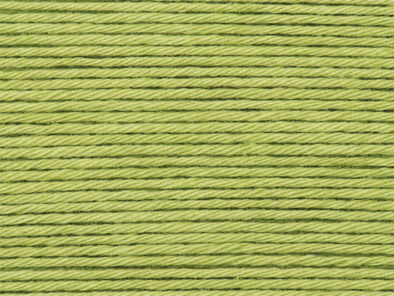 achat Pelote Ricorumi coton DK - Pistache (47)