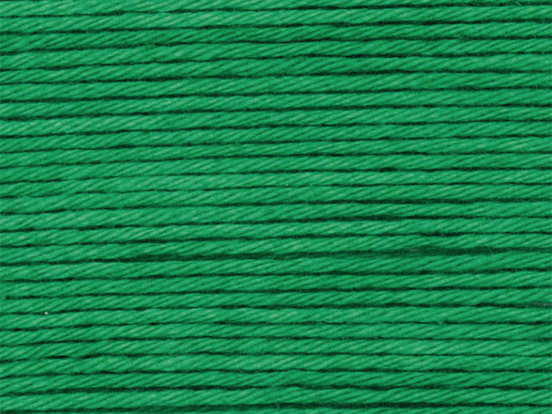 achat Pelote Ricorumi coton DK - Vert (49)