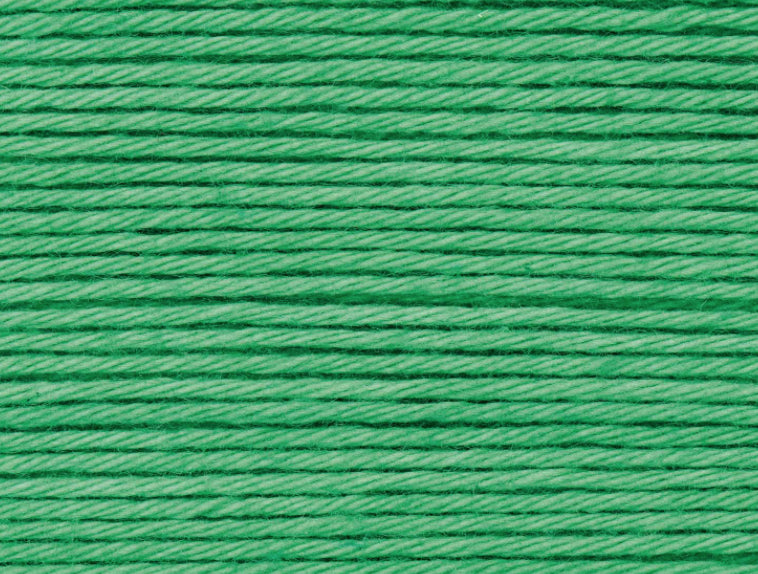 achat Pelote Ricorumi coton DK - Vert herbe (44)