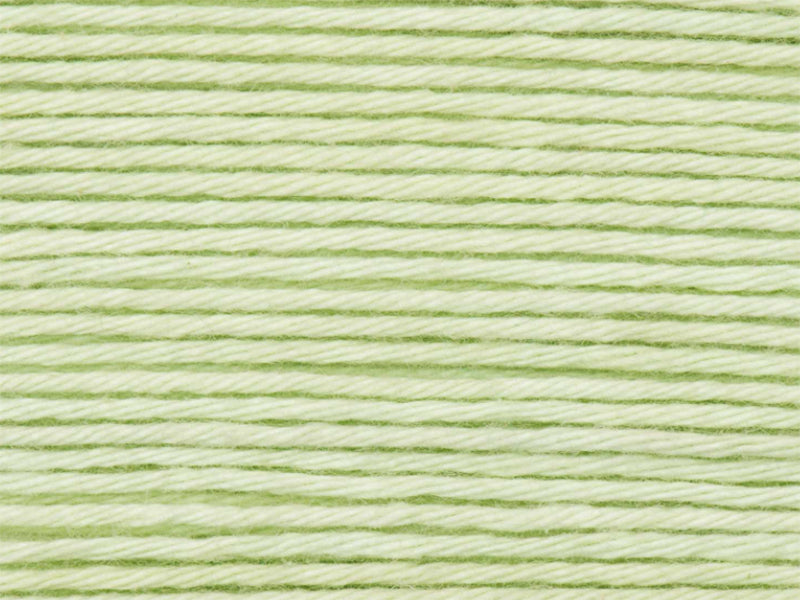 achat Pelote Ricorumi coton DK - Vert pastel (45)