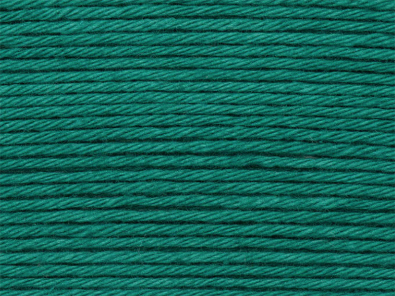 achat Pelote Ricorumi coton DK - Lierre (43)