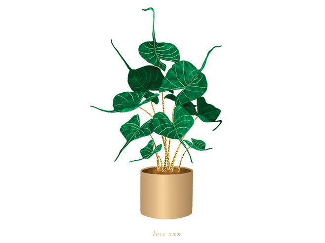 Achat Carte aquarelle - Love - Alocasia stingray - ATWS