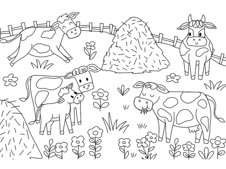 Achat Mon Grand Cahier De Coloriages - La Ferme