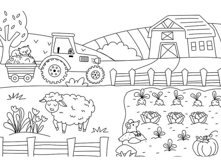 achat Mon Grand Cahier De Coloriages - La Ferme