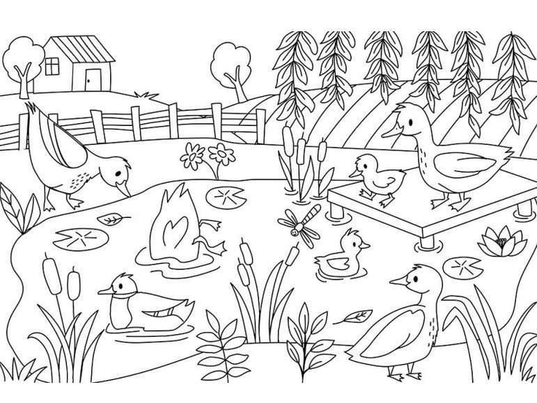 achat Mon Grand Cahier De Coloriages - La Ferme