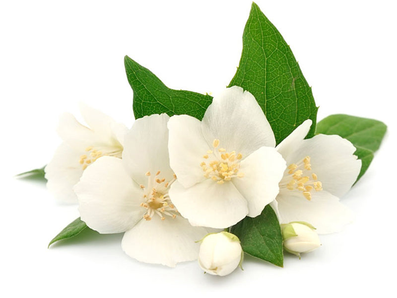 Achat Senteur / fragrance pour bougie fleurs des îles - 27 ml