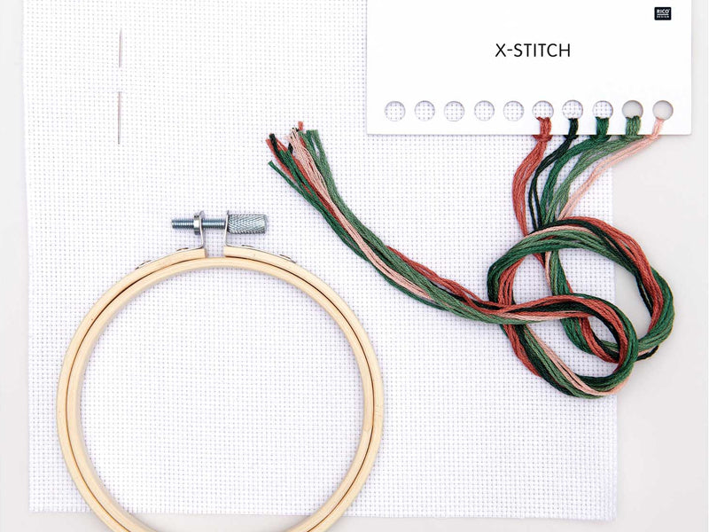 Achat KIT DE BRODERIE PLANTE - RICO DESIGN