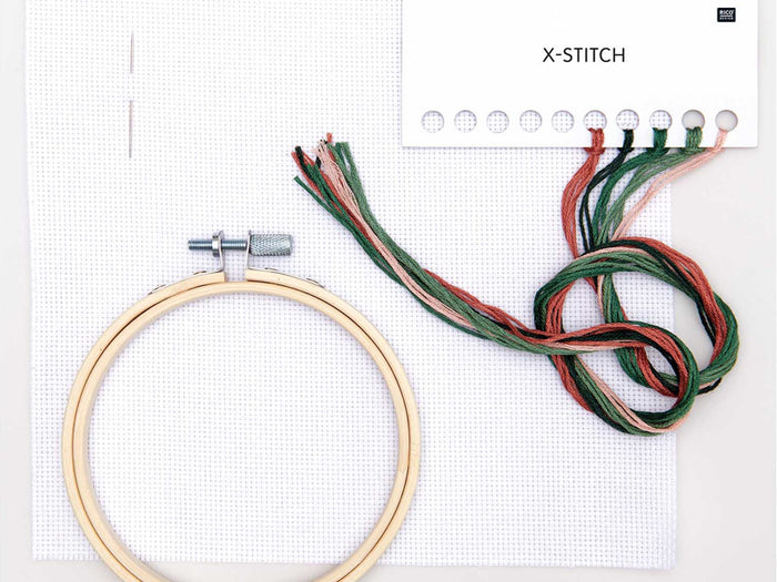 Achat KIT DE BRODERIE PLANTE - RICO DESIGN