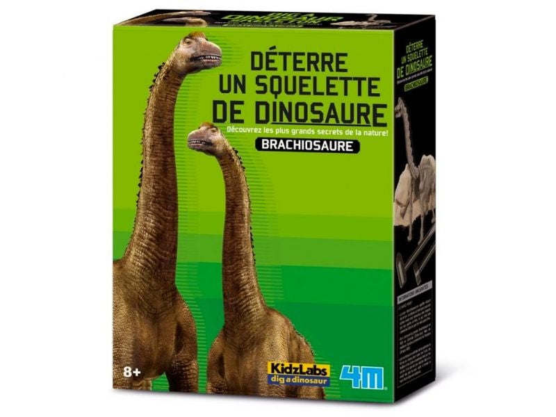 Achat Kit DAM- Déterre ton dinosaure - Brachiosaure