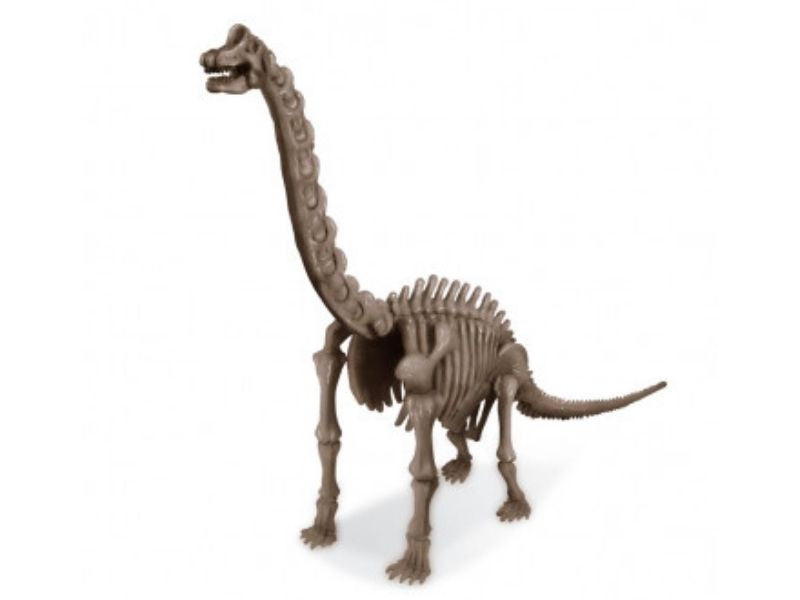 achat Kit DAM- Déterre ton dinosaure - Brachiosaure