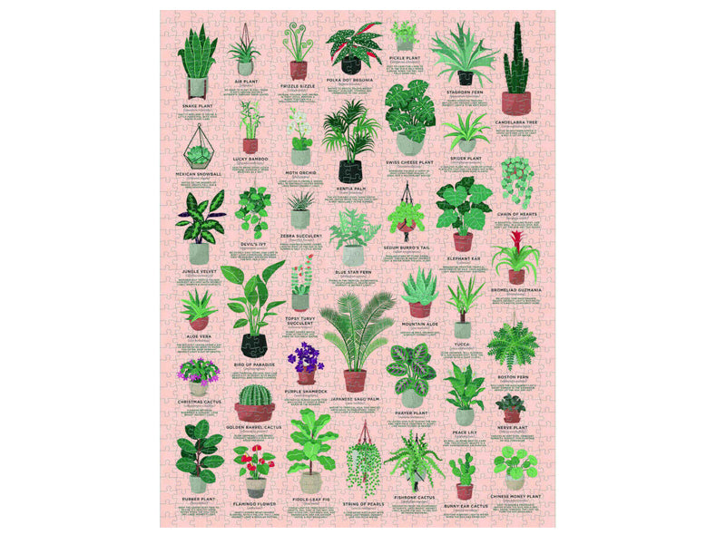 Achat Puzzle House Plants - 1000 pièces - 55 x 70 cm