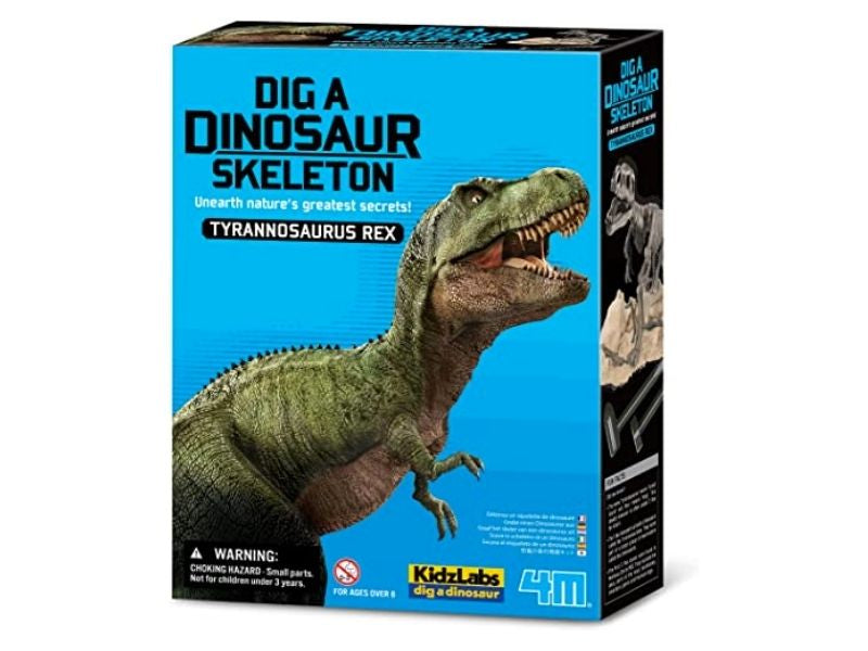 Achat Kit DAM - Tyrannosaure Rex 22 x 17 cm