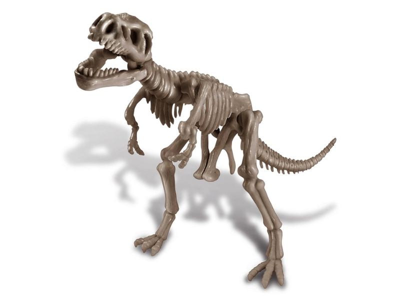 achat Kit DAM - Tyrannosaure Rex 22 x 17 cm
