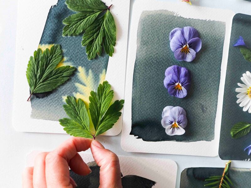 achat Kit DIY HOME DÉCO - Mon atelier cyanotype