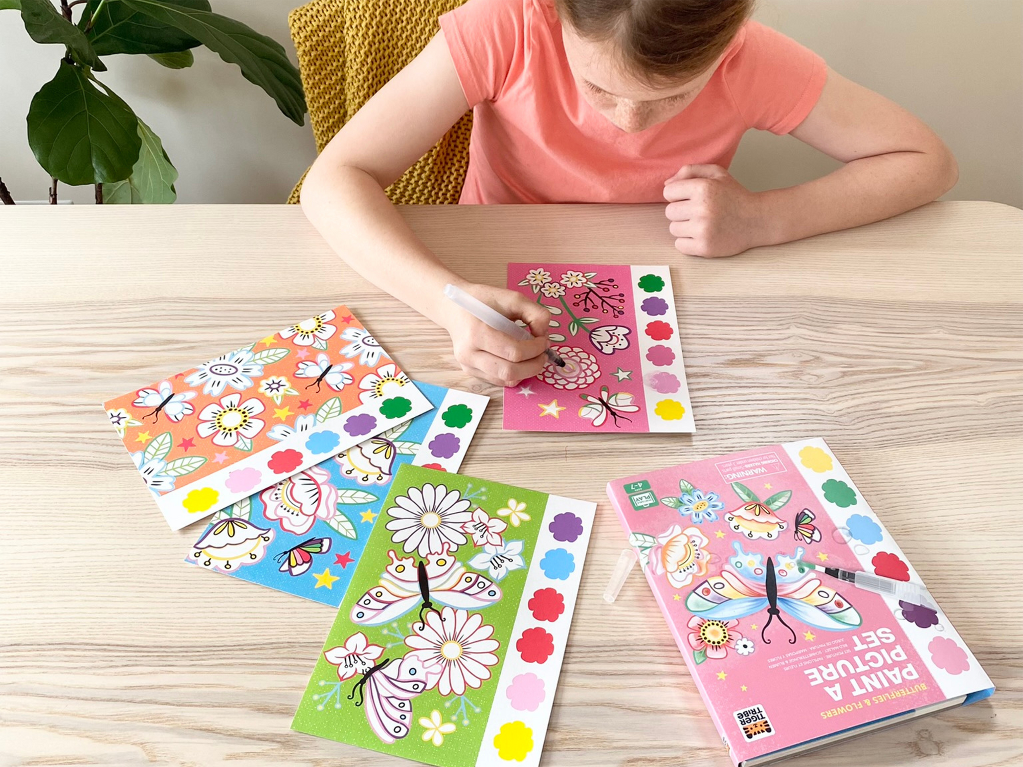 Paint A Picture Set Butterflies & Flower