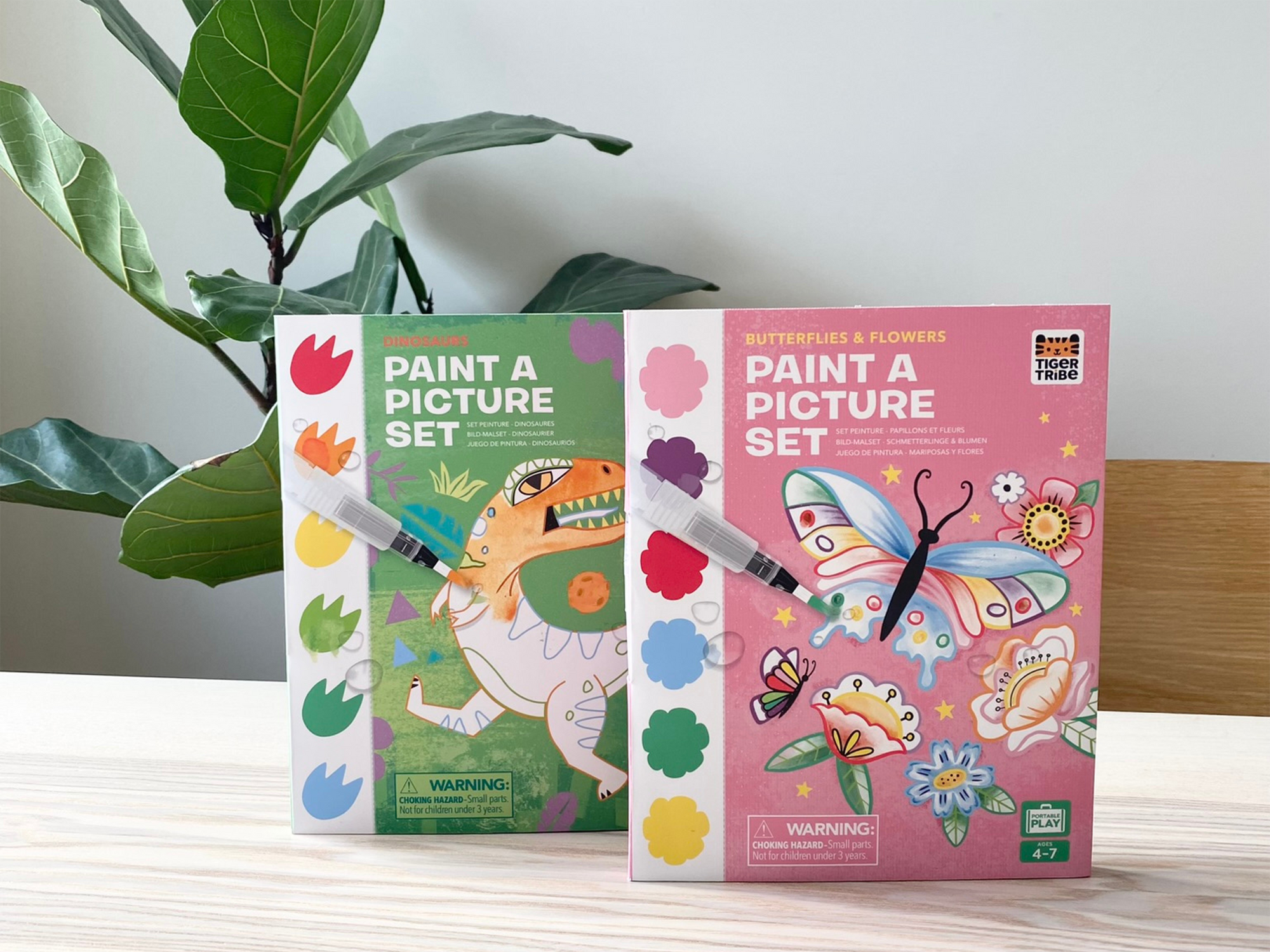Paint A Picture Set Butterflies & Flower
