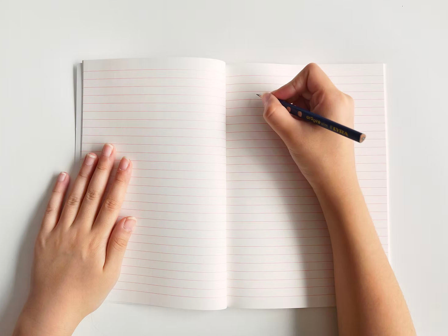 achat Carnets A5 Dictionnaire des Chiens - Zero per Zero