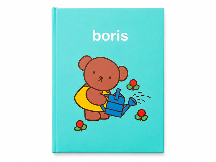 Achat Mini carnet Miffy Boris - Vert