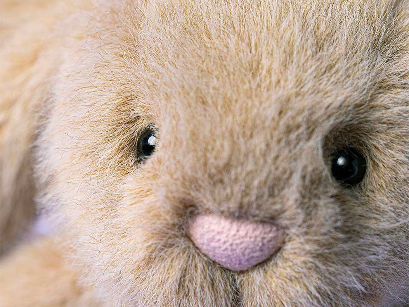 achat Peluche petit Lapin Flufflet couleur Avoine - Jellycat
