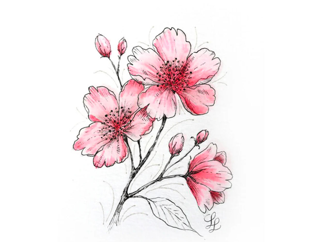 achat Kit de création Sakura - Fleurs de cerisier