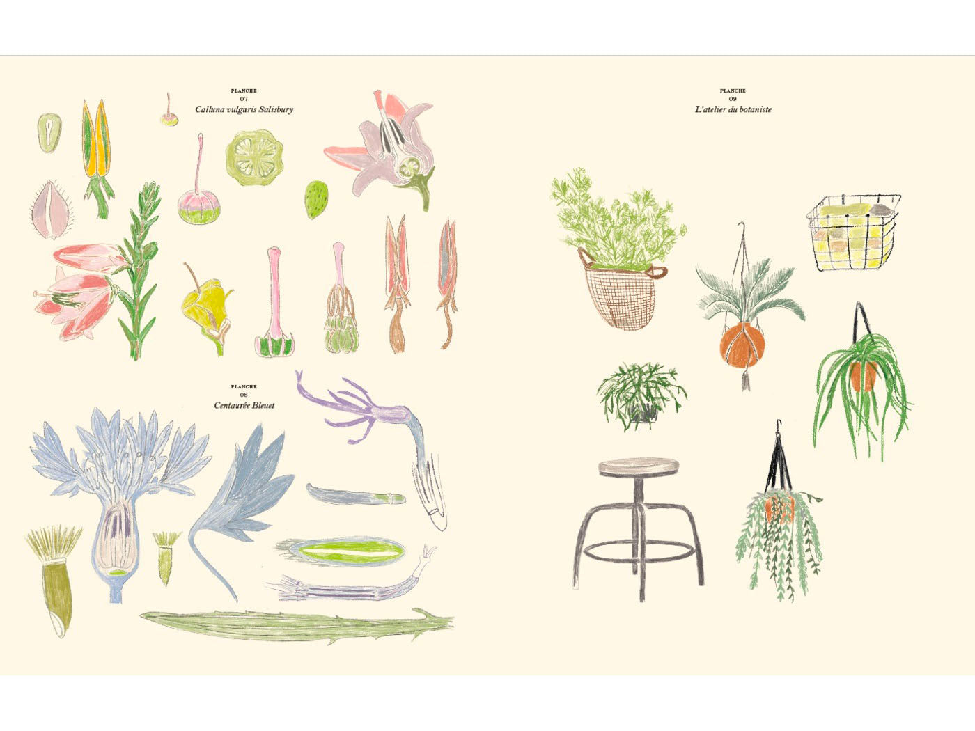 achat Le jardin carnet de coloriages - La Maison Hachette