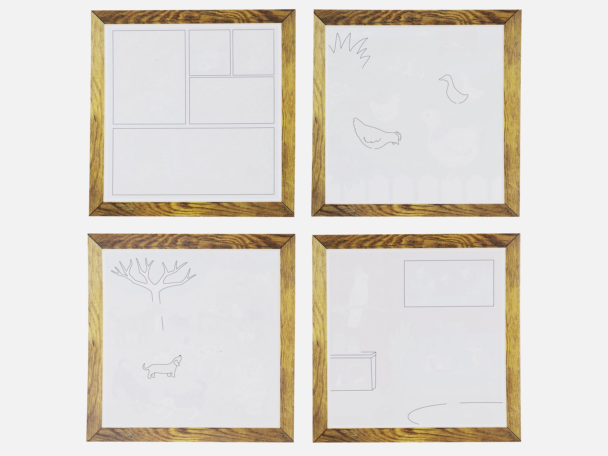 Kit de peinture à l'eau magique - animaux de compagnie