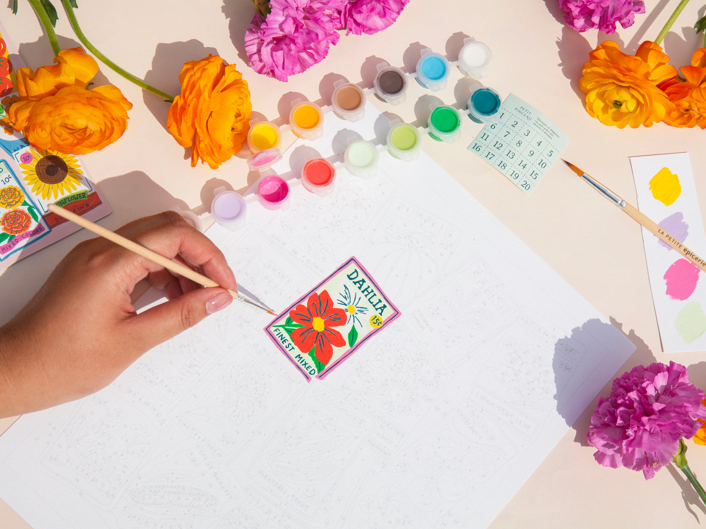 achat Coffret peinture au numéro - Petit Pinceau - Seed Packets par Lisa Barlow Illustrates