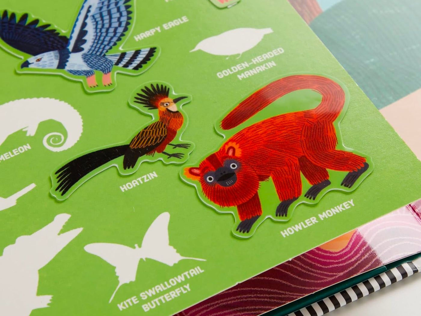achat Set de Stickers Rainforest - Mudpuppy