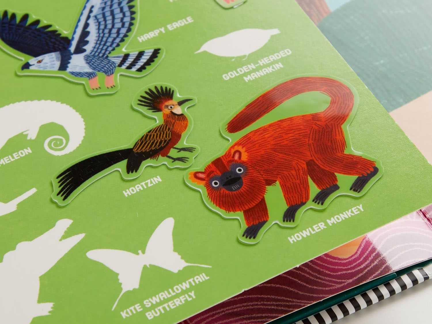 achat Set de Stickers Rainforest - Mudpuppy