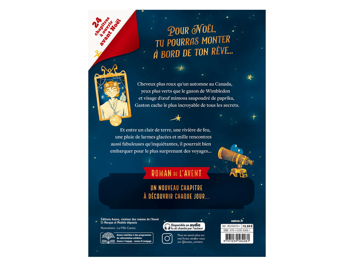 achat Roman Un Noël sur la lune - Auzou