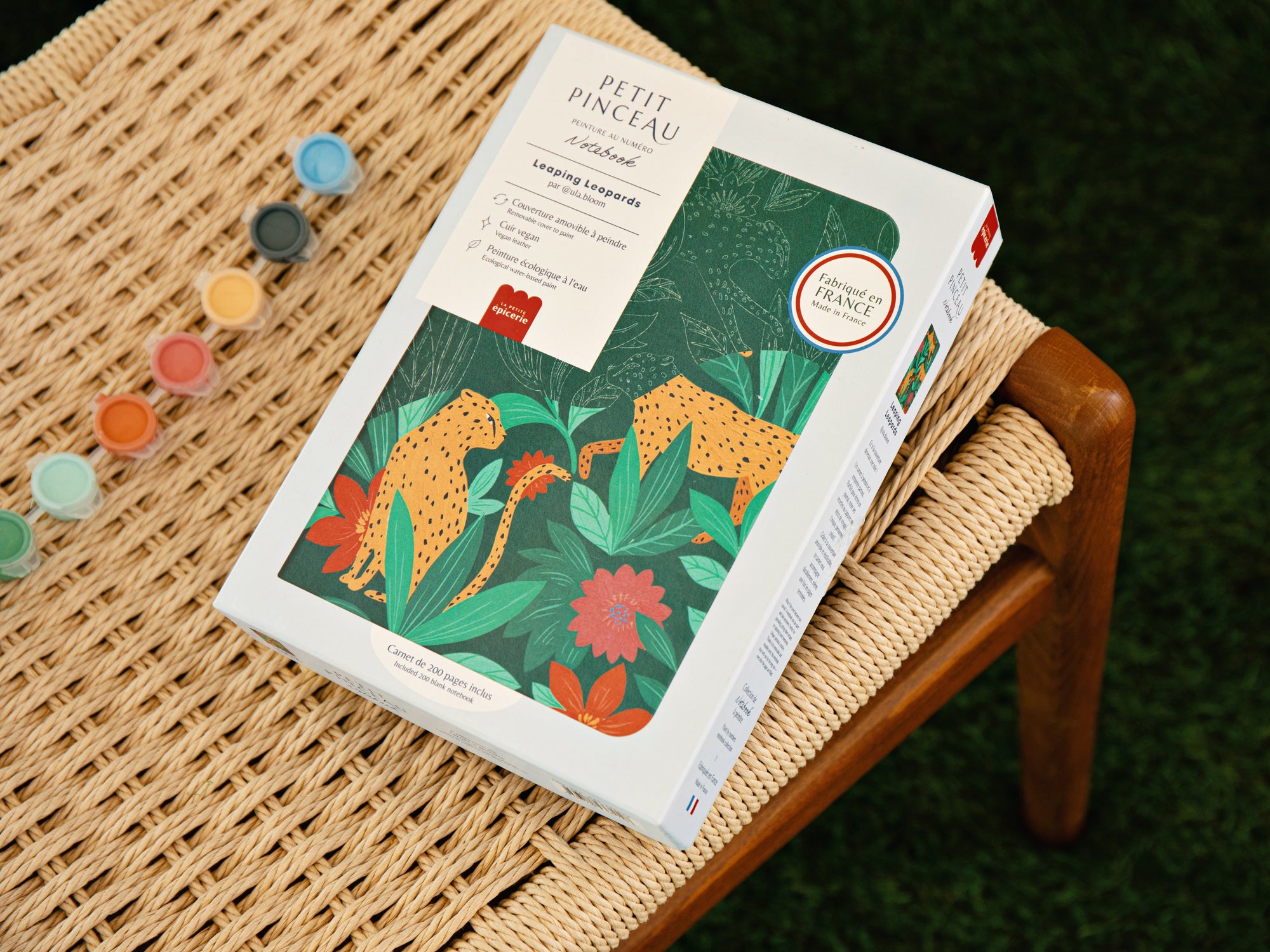 Carnet à peindre - Notebook peinture au numéro - Petit Pinceau - Leaping Leopards