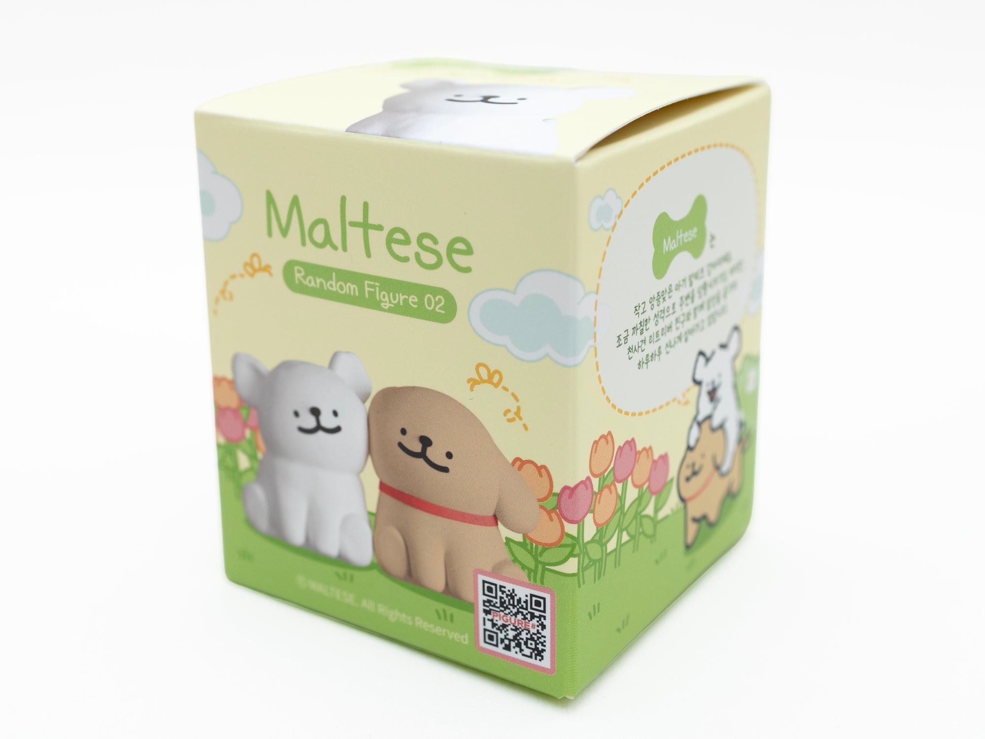 Achat Blind box - maltese