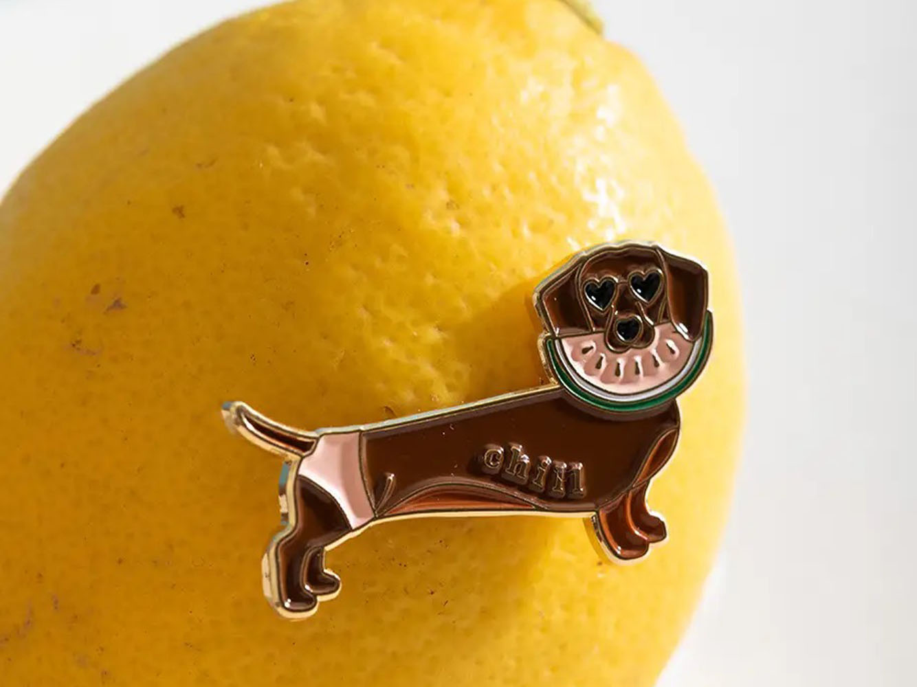 achat Pin's Chill Doggy Teckel - ATWS