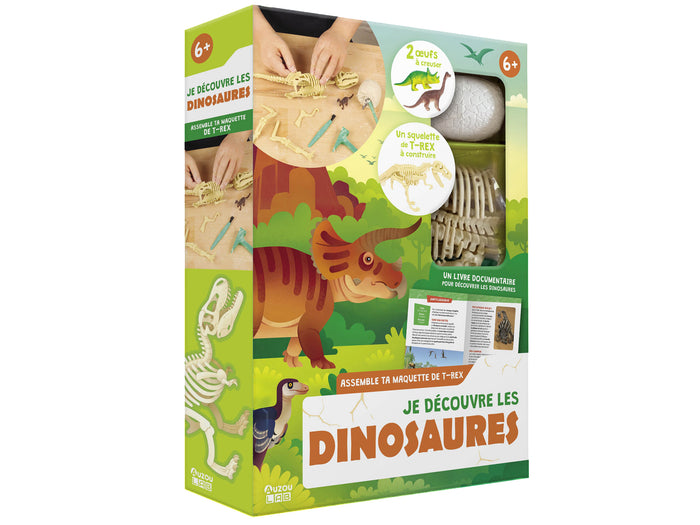 Achat Je découvre les dinosaures - Auzou lab'