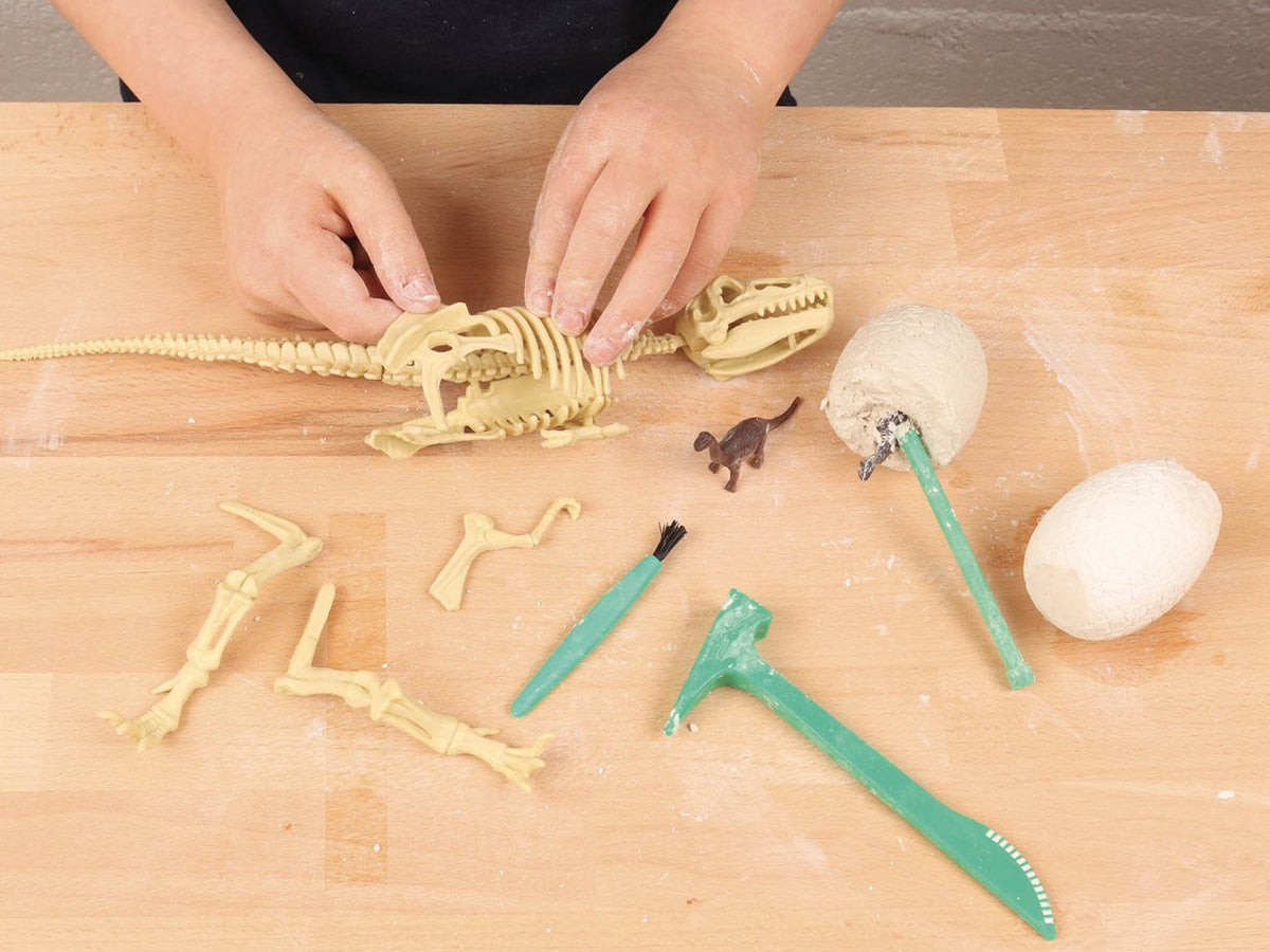 achat Je découvre les dinosaures - Auzou lab'