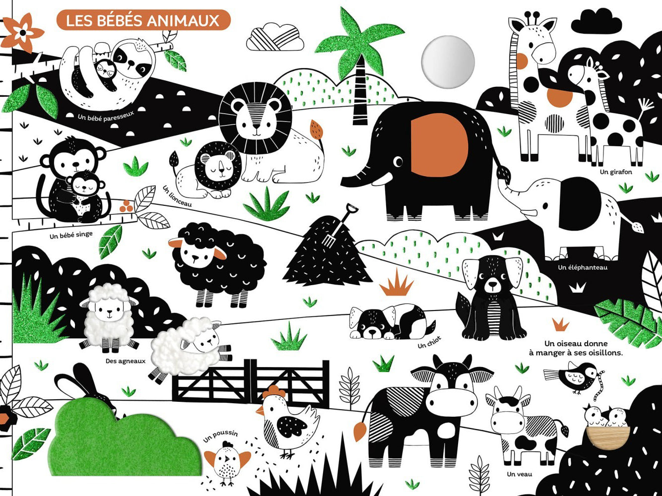 Mon très grand livre d'éveil en noir et blanc - Auzou