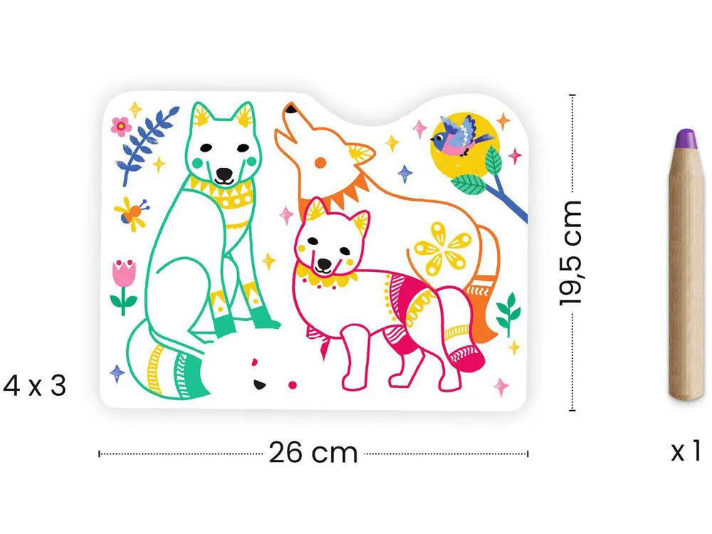 achat Coloriages à révéler - Familles de la forêt - Djeco