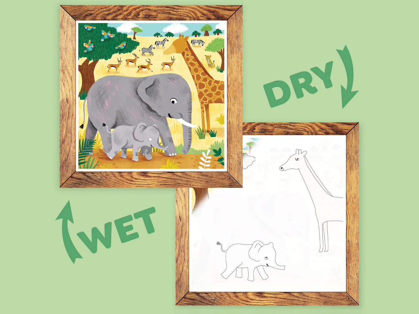 Kit de peinture à l'eau magique - Safari Adventures
