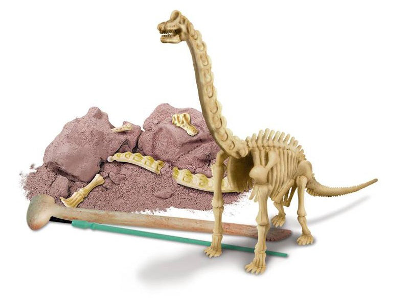Achat Kit DAM- Déterre ton dinosaure - Brachiosaure